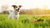 Why Can't Dogs Eat Salty Foods? Understanding Sodium's Impact on Our Canine Friends-140217352431