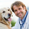 Why Can’t My Dog Put on Weight? Understanding and Addressing Canine Weight Issues