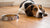 Why Did My Dog Stop Eating His Food? Understanding the Reasons and Solutions