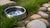 Why Do Dog Water Bowls Get Slimy? A Comprehensive Guide to Cleaner Hydration for Your Pup