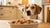 Why Does a Dog Stop Eating His Food: Understanding the Reasons Behind Appetite Changes