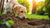 Why Does My Dog Bury Her Food Before Eating It?-140217811183