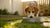 Why Does My Dog Dig Her Water Bowl? Understanding This Common Behavior-140790431983
