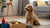 Why Does My Dog Eat One Kibble at a Time? Understanding This Quirky Behavior