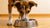 Why Does My Dog Flip Her Water Bowl? Understanding This Common Behavior-140796428527