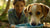 Why Does My Dog Keep Knocking Over His Water Bowl? Understanding and Solutions-140792234223