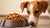 Why Does My Dog Not Eat All His Food? Understanding Your Pup's Eating Habits-140218499311