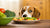 Why Does My Dog Only Want to Eat Human Food? Understanding Canine Eating Habits-140297765103