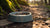 Why Does My Dog's Water Bowl Get Slimy: Understanding and Preventing Biofilm Formation