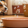Why Does My Dog’s Water Bowl Have Bubbles?