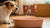 Why Does My Dog's Water Bowl Have Bubbles? Understanding the Mystery