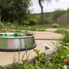 Why Does My Dogs Water Bowl Turn Green?