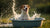 Why Does My Dog Splash in His Water Bowl? Understanding the Behavior of Our Splashy Friends