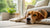Why Does My Dog Throw Up After Eating Human Food? Understanding the Causes and Solutions-140217647343