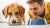 Why Does Shaggy Eat Dog Food? Exploring the Quirky Relationship Between Humans and Pet Food