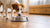 Why Doesn’t My Dog Drink Water from His Bowl? Understanding the Causes and Solutions-140795183343