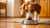Why Doesn’t My Dog Eat His Food Right Away? Understanding Your Dog's Eating Habits