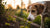 Why Doesn’t My Dog Like Kibble? Understanding Your Pup's Preferences