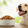 Why Feed Grain-Free Dog Food: Understanding the Pros and Cons