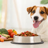 Why Feed Your Dog Raw Food? Understanding the Benefits and Considerations
