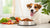 Why Feed Your Dog Raw Food? Understanding the Benefits and Considerations