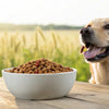Why Grain-Free Dog Food Is Not Good: Understanding the Risks and Implications