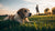 Why Has My Dog Gained Weight So Fast? Understanding the Causes and Solutions