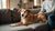 Why Has My Dog Lost Weight But Still Eating? Understanding the Causes and Solutions