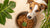 Why Has My Dog Stopped Eating His Dry Food? Understanding the Reasons and Solutions
