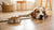 Why Has My Dog Stopped Eating Kibble? Understanding the Reasons Behind Changes in Appetite