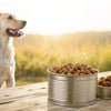 Why Is Canned Dog Food So Expensive? Understanding the Price Tag on Your Pup’s Dinner