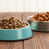 Why Is Cat Food Bad for Dogs to Eat? The Critical Differences in Ingredients and Nutritional Needs
