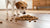 Why is Dog Food Called Kibble? Understanding the Origins and Evolution of Kibble