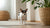 Why Is Kibble Good for Dogs? Understanding the Benefits of Dry Dog Food