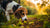 Why Is My Dog Eating Everything But His Food? Exploring Common Causes and Solutions