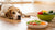 Why is My Dog Gaining Weight but Not Eating More?