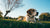 Why Is My Dog Gaining Weight So Fast? Understanding the Causes and Solutions