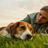 Why is My Dog Losing So Much Weight? Understanding the Causes and Solutions