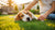 Why is My Dog Losing Weight Fast? Understanding the Causes and Solutions