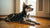 Why Is My Dog No Longer Eating His Food? Understanding Causes and Solutions