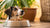 Why Is My Dog Not Eating Dog Food? Understanding Picky Eating Habits-140136513775