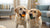 Why Is My Dog Not Finishing His Food? Understanding Appetite Changes in Our Canine Companions