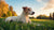 Why Is My Dog Not Gaining Weight? Understanding and Addressing Canine Weight Issues