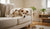 Why Is My Dog's Behavior Strange? Understanding and Addressing Unusual Canine Conduct-141235552495