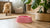 Why Is My Dog's Water Bowl Pink? Understanding the Causes and Solutions-140794921199