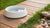Why Is My Dog's Water Bowl Turning Pink? Understanding and Preventing This Common Issue-140791546095