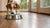 Why Is My Dog Scared of His Metal Food Bowl? Understanding and Addressing Bowl Aversion