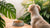 Why Is My Female Dog Not Eating Her Food? Understanding the Causes and Solutions
