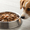 Why Is Wet Food Bad for Dogs? Understanding the Pros and Cons