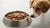 Why Is Wet Food Bad for Dogs? Understanding the Pros and Cons